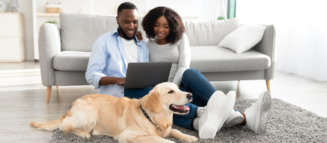 A couple using a computer while sitting on the floor with a dog.