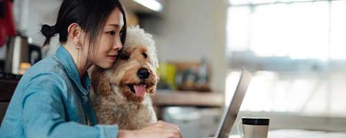 Woman looking at laptop holding dog